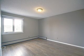 Photo 16: 401 723 57 Avenue SW in Calgary: Windsor Park Apartment for sale : MLS®# A1180051