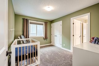 Photo 34: 130 Nolancliff Crescent NW in Calgary: Nolan Hill Detached for sale : MLS®# A1242405