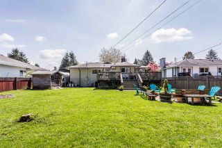 Photo 20: 22043 SELKIRK Avenue in Maple Ridge: West Central House for sale : MLS®# R2262384