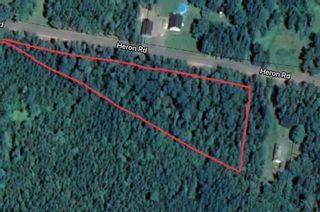 Photo 6: Lot 4 Heron Road in Central West River: 108-Rural Pictou County Vacant Land for sale (Northern Region)  : MLS®# 202221259