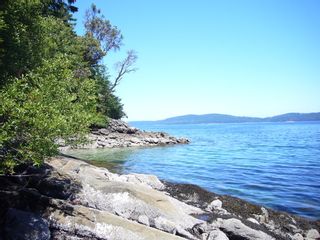 Photo 14: 148 Pilkey Point Road in Thetis Island: House  Land for sale : MLS®# 257031