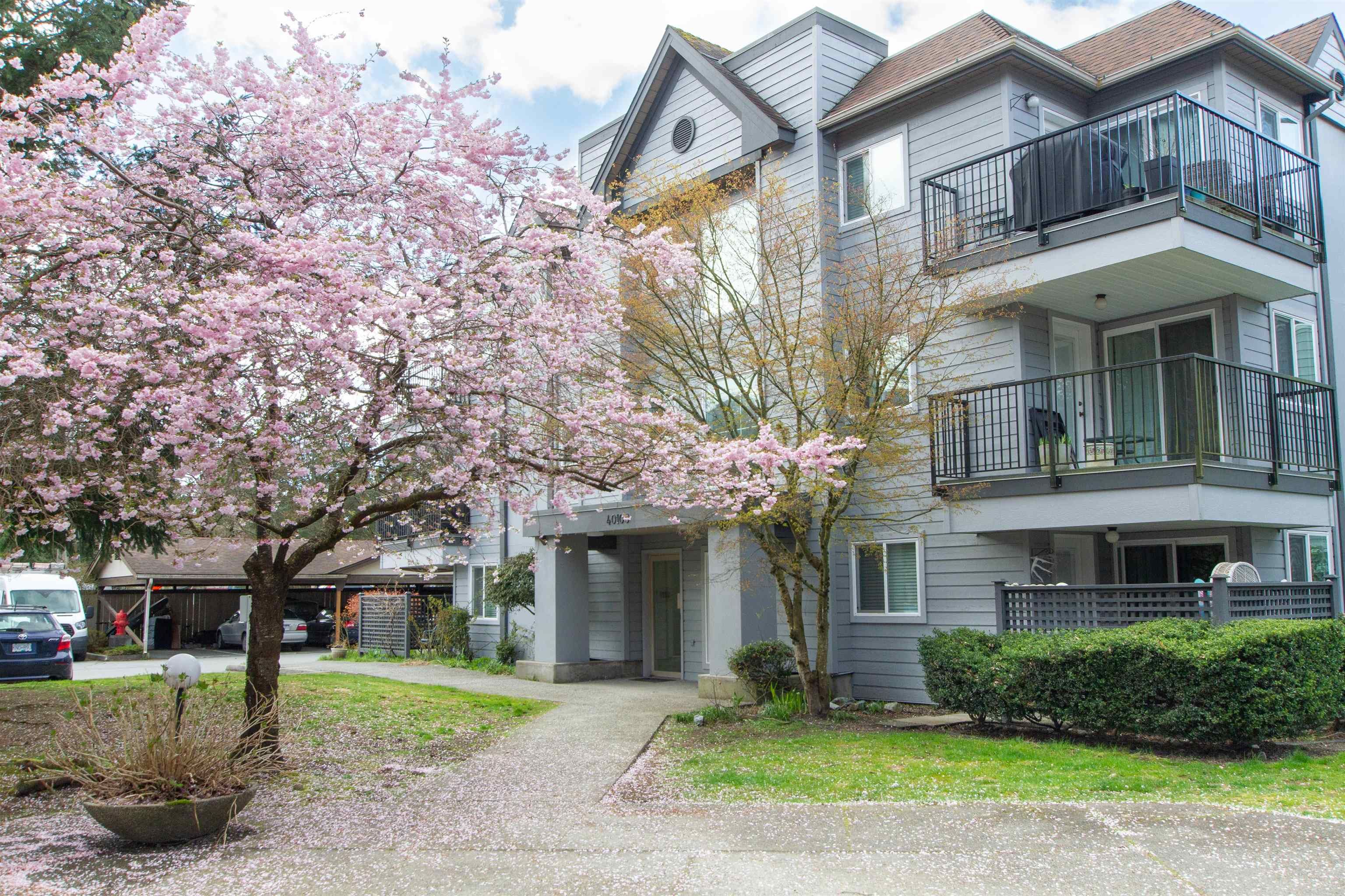 Main Photo: A301 40100 WILLOW Crescent in Squamish: Garibaldi Estates Condo for sale in "Diamond Head Place" : MLS®# R2687874