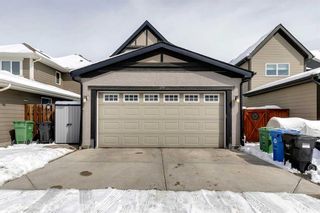 Photo 47: 139 Masters Avenue SE in Calgary: Mahogany Detached for sale : MLS®# A2117803