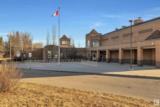 Photo 46: 377 JILLINGS Crescent in Edmonton: Zone 29 House for sale : MLS®# E4365739