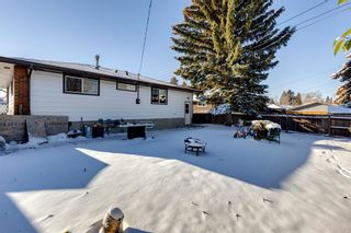 Photo 39: 4408 Maryvale Road NE in Calgary: Marlborough Detached for sale : MLS®# A2010189