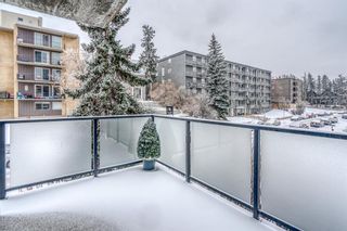 Photo 18: 306 1732 9A Street SW in Calgary: Lower Mount Royal Apartment for sale : MLS®# A2117753