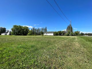 Photo 5: 229 Notre Dame Street in Winnipegosis: R31 Residential for sale (R31 - Parkland)  : MLS®# 202318661