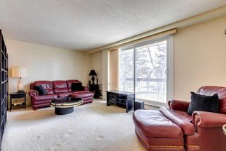 Photo 10: 304 315 Heritage Drive SE in Calgary: Acadia Apartment for sale : MLS®# A2124299