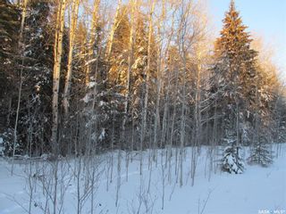 Photo 25: Recreational Land North-East of White Fox in Torch River: Lot/Land for sale (Torch River Rm No. 488)  : MLS®# SK909033