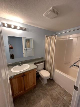 Photo 15: 314 - 4769 FORESTERS LANDING ROAD in Radium Hot Springs: Condo for sale : MLS®# 2474564