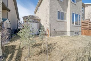 Photo 44: 333 Discovery Ridge Boulevard SW in Calgary: Discovery Ridge Detached for sale : MLS®# A1210935