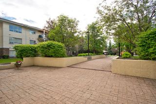 Photo 28: 103 2144 Paliswood Road SW in Calgary: Palliser Apartment for sale : MLS®# A1208516