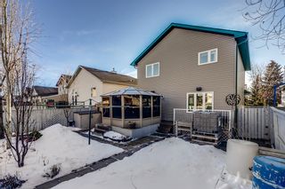 Photo 23: 139 Stonegate Place NW: Airdrie Detached for sale : MLS®# A2017039