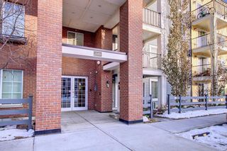 Photo 3: 2108 99 Copperstone Park SE in Calgary: Copperfield Apartment for sale : MLS®# A2012731