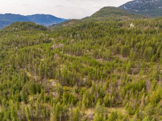 Photo 19: 2700 14TH AVENUE in Castlegar: Vacant Land for sale : MLS®# 2468700