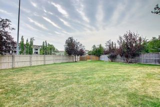 Photo 24: 24 Chapman Court SE in Calgary: Chaparral Detached for sale : MLS®# A1258949