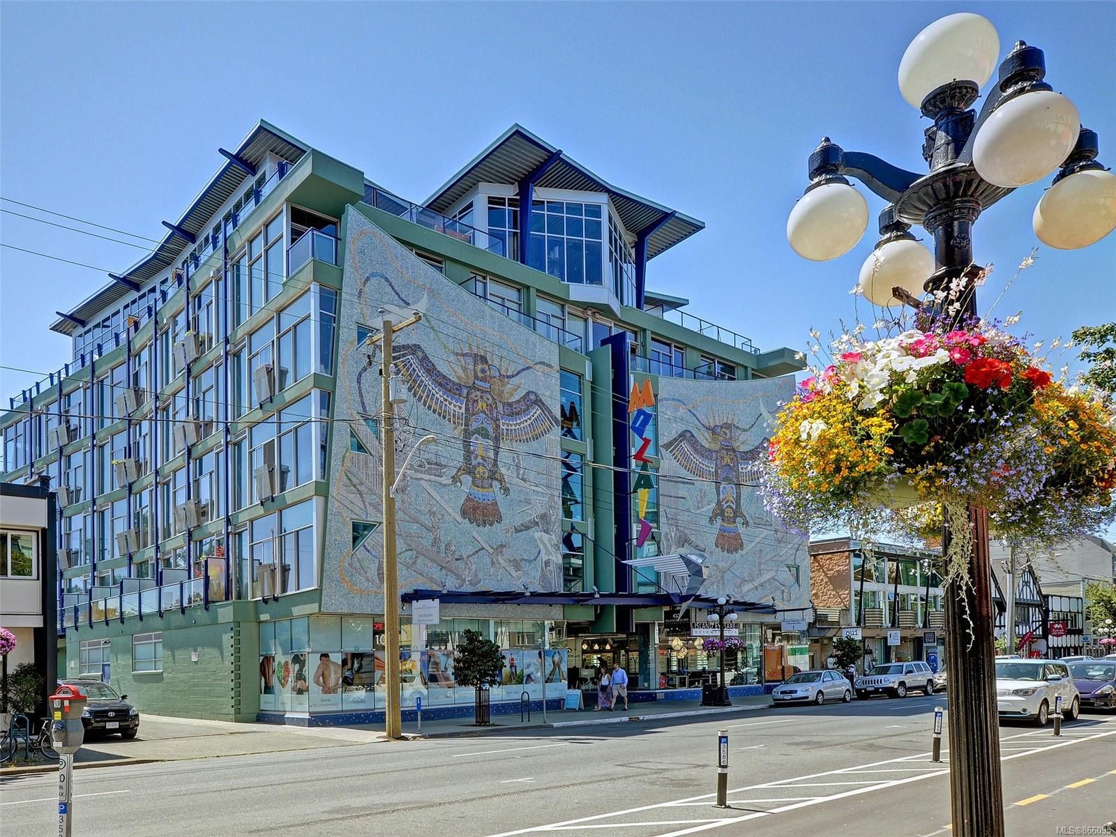 Main Photo: 311 1061 Fort St in Victoria: Vi Downtown Condo for sale : MLS®# 866095