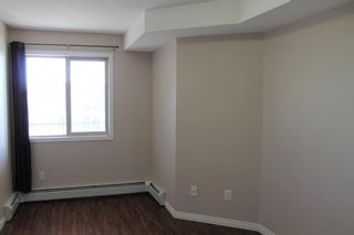 Photo 11: 413 7210 80 Avenue NE in Calgary: Saddle Ridge Apartment for sale : MLS®# A2019598
