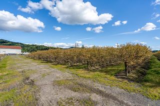 Photo 39: 34659 TOWNSHIPLINE Road in Abbotsford: Matsqui Agri-Business for sale : MLS®# C8057829