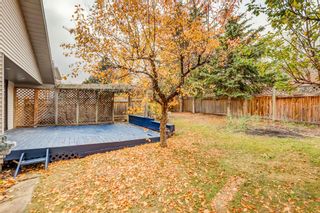 Photo 35: 123 Shawnessy Drive SW in Calgary: Shawnessy Detached for sale : MLS®# A2008028