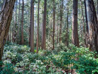 Photo 9: 3206 VANCOUVER Boulevard in No City Value: Islands Other Land for sale (Islands-Van. & Gulf)  : MLS®# R2870475