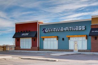 Photo 45: 263 Silverado Plains Close SW in Calgary: Silverado Detached for sale : MLS®# A2123792