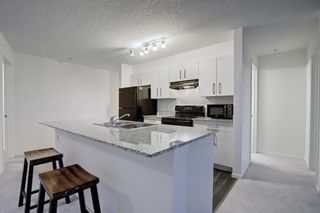Photo 17: 1516 4641 128 Avenue NE in Calgary: Skyview Ranch Apartment for sale : MLS®# A1192519