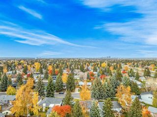 Photo 41: 316 Braniff Place SW in Calgary: Braeside Detached for sale : MLS®# A2087832