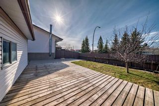 Photo 42: 2044 Pinetree Crescent NE in Calgary: Pineridge Detached for sale : MLS®# A2124958