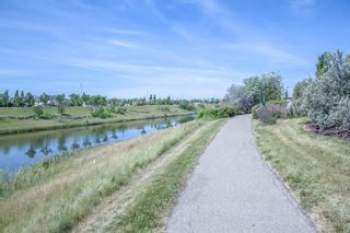 Photo 41: 72 Mt Apex Green SE in Calgary: McKenzie Lake Detached for sale : MLS®# A2126594