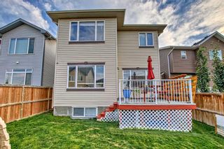 Photo 47: 350 Nolan Hill Drive NW in Calgary: Nolan Hill Detached for sale : MLS®# A2124854