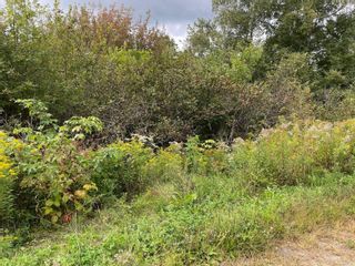 Photo 2: 102 Blomidon Crescent in Lower Blomidon: Kings County Vacant Land for sale (Annapolis Valley)  : MLS®# 202223051