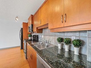 Photo 11: 401 1420 Memorial Drive NW in Calgary: Hillhurst Apartment for sale : MLS®# A2127967