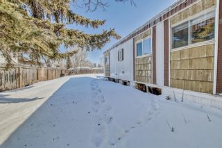 Photo 21: 827 Bay Road: Strathmore Detached for sale : MLS®# A2032037
