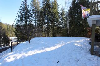 Photo 49: 2362 Forest View Place: Blind Bay House for sale (South Shuswap)  : MLS®# 10245519