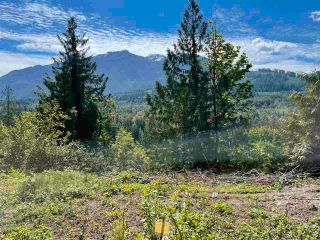 Photo 9: 4160 SLESSE Road in Chilliwack: Chilliwack River Valley Land for sale (Sardis)  : MLS®# R2586861