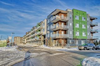 Photo 43: 224 20 Seton Park SE in Calgary: Seton Apartment for sale : MLS®# A2033079