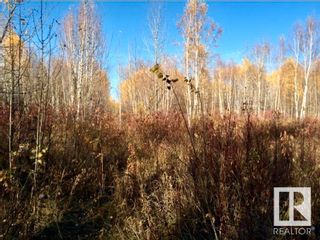 Photo 8: 1 2415 TWP RD 521: Rural Parkland County Rural Land/Vacant Lot for sale : MLS®# E4307419