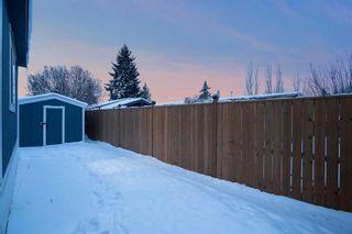 Photo 38: 41 Spring Dale Circle SE: Airdrie Detached for sale : MLS®# A2112782