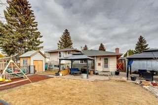 Photo 42: 115 Queensland Circle SE in Calgary: Queensland Detached for sale : MLS®# A2112471
