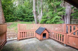 Photo 30: 2497 PANORAMA Drive in North Vancouver: Deep Cove House for sale : MLS®# R2579215