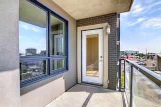 Photo 18: 906 8710 Horton Road SW in Calgary: Haysboro Apartment for sale : MLS®# A1256272