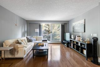 Photo 4: 301 525 22 Avenue SW in Calgary: Cliff Bungalow Apartment for sale : MLS®# A1253707