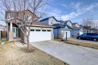 Photo 40: 30 Martin Crossing Way NE in Calgary: Martindale Detached for sale : MLS®# A1195474