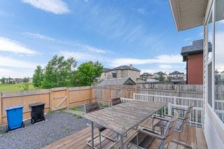 Photo 43: 74 Martha's Meadow Close NE in Calgary: Martindale Detached for sale : MLS®# A2143493