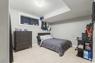 Photo 38: 67 Elgin Terrace SE in Calgary: McKenzie Towne Detached for sale : MLS®# A2141283