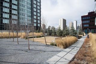 Photo 28: 406 901 10 Avenue SW in Calgary: Beltline Apartment for sale : MLS®# A2130484