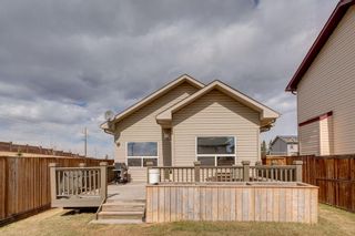 Photo 31: 385 Prestwick Terrace SE in Calgary: McKenzie Towne Detached for sale : MLS®# A1203660