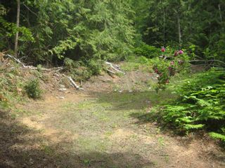 Photo 3: 12 Stampede Trail in Anglemont: Land Only for sale : MLS®# 10031134