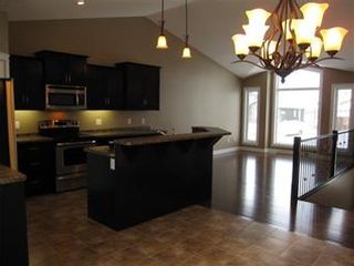 Photo 3: 419 Faldo Crescent: Warman Single Family Dwelling for sale (Saskatoon NW)  : MLS®# 385015